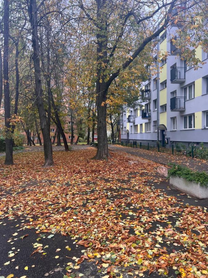 Yellow Apartment Airport Galeria Mokotow Netflix Warszawa Eksteriør billede
